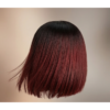1.222 10” Two-Tone Bone Straight Wig | 5x5 Closure